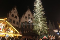 Frankfurt Christmas Market