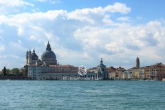 WATER TAXI,Basilica di Santa Maria della Salute,Venice
