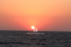 SUN SET OIA SAILING CRUISES,Santorini