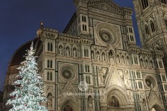 Cathedral of Santa Maria del Fiore , Firenze
