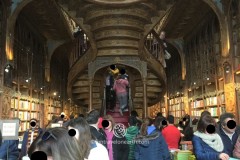 Livraria Lello , Porto,Portugal