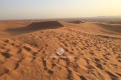 Red Dune Desert Safari , Dubai , United Arab Emirates