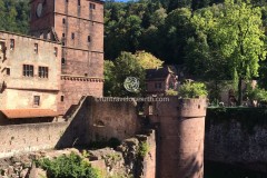 Schloss Heidelberg