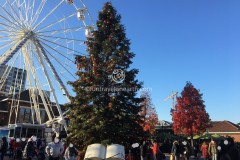 Designer Outlet Roermond