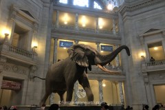 Smithsonian National Museum of Natural History