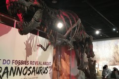 Smithsonian National Museum of Natural History