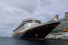 Disney Dream, Disney CRUISE LINE
