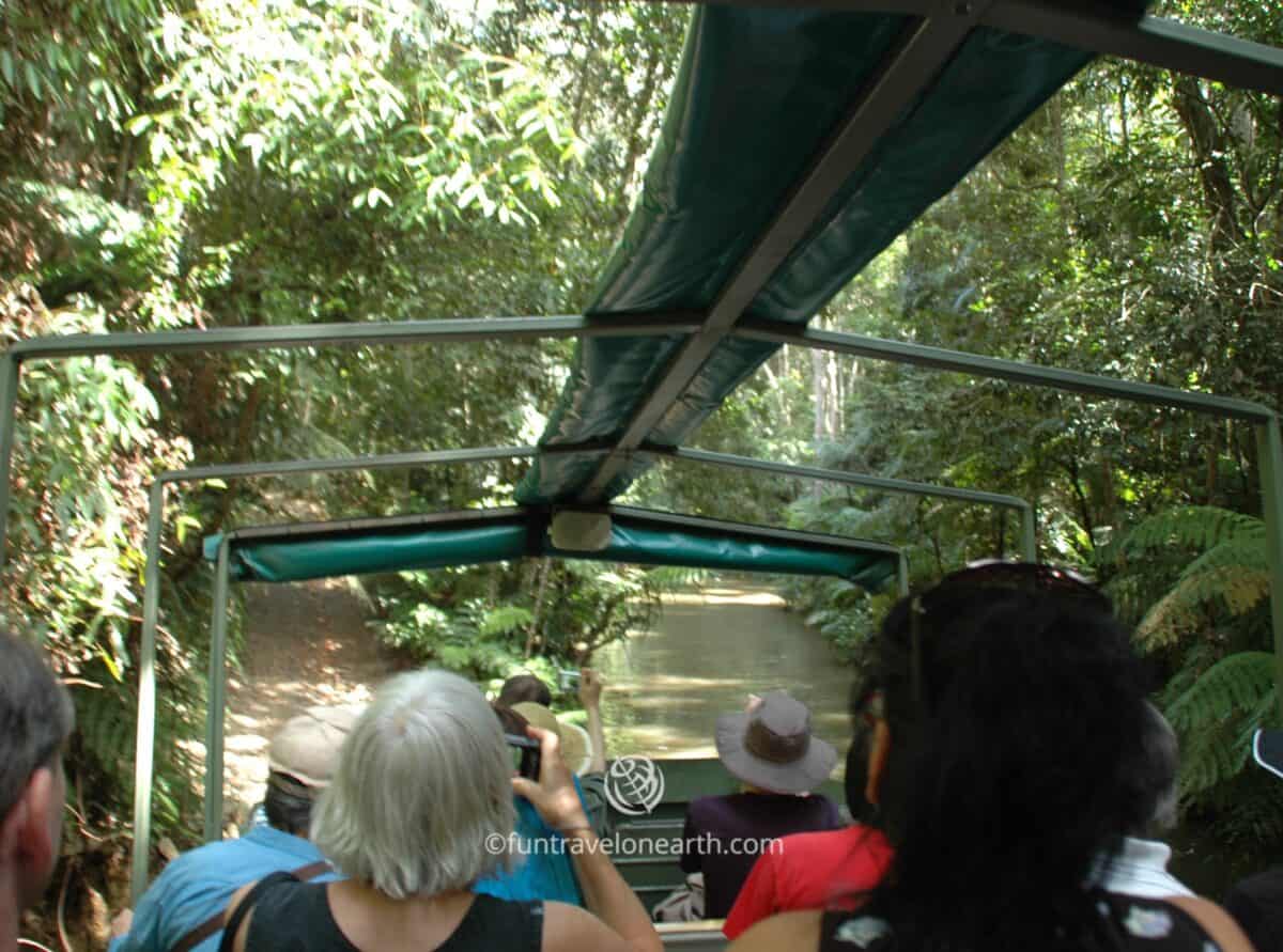 Cairns,Kuranda