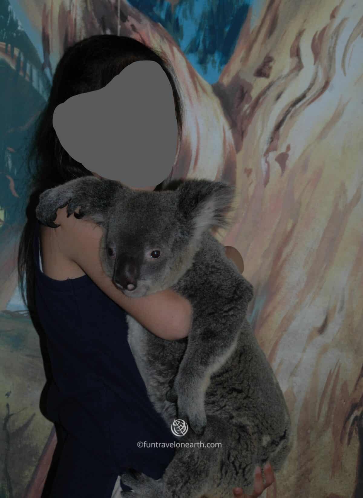 Cairns Tropical Zoo