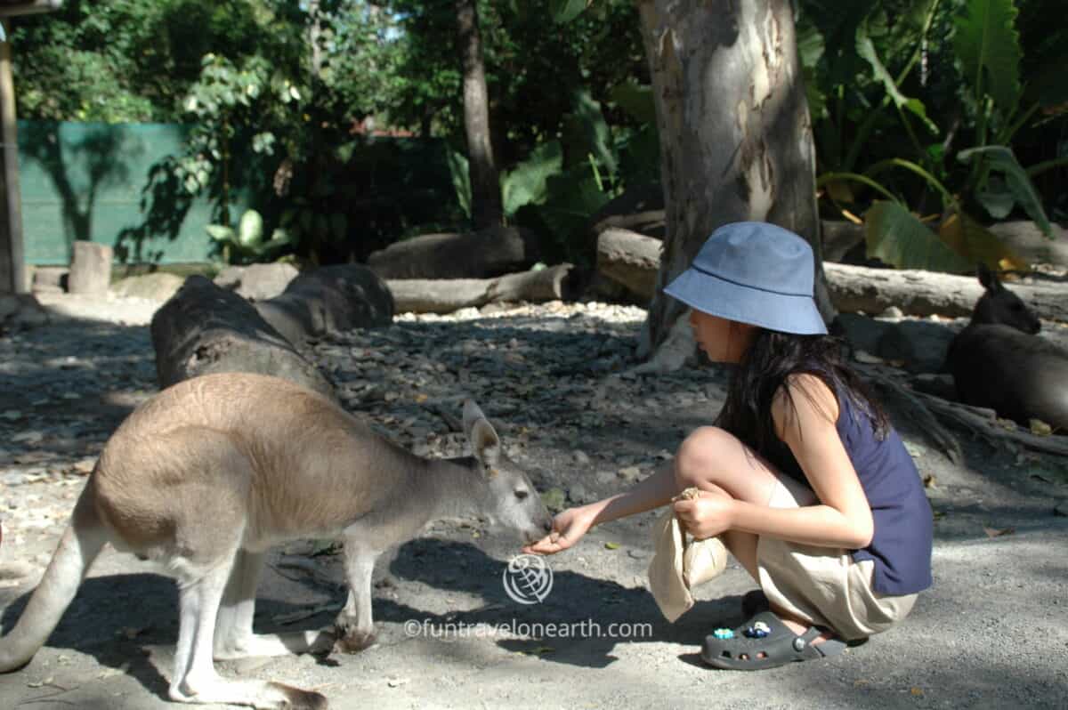 Cairns Tropical Zoo