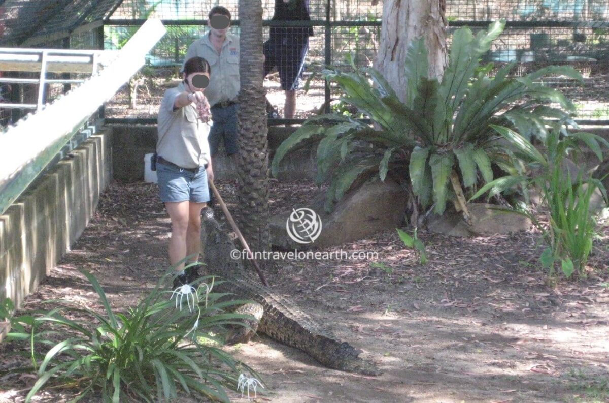 Cairns Tropical Zoo