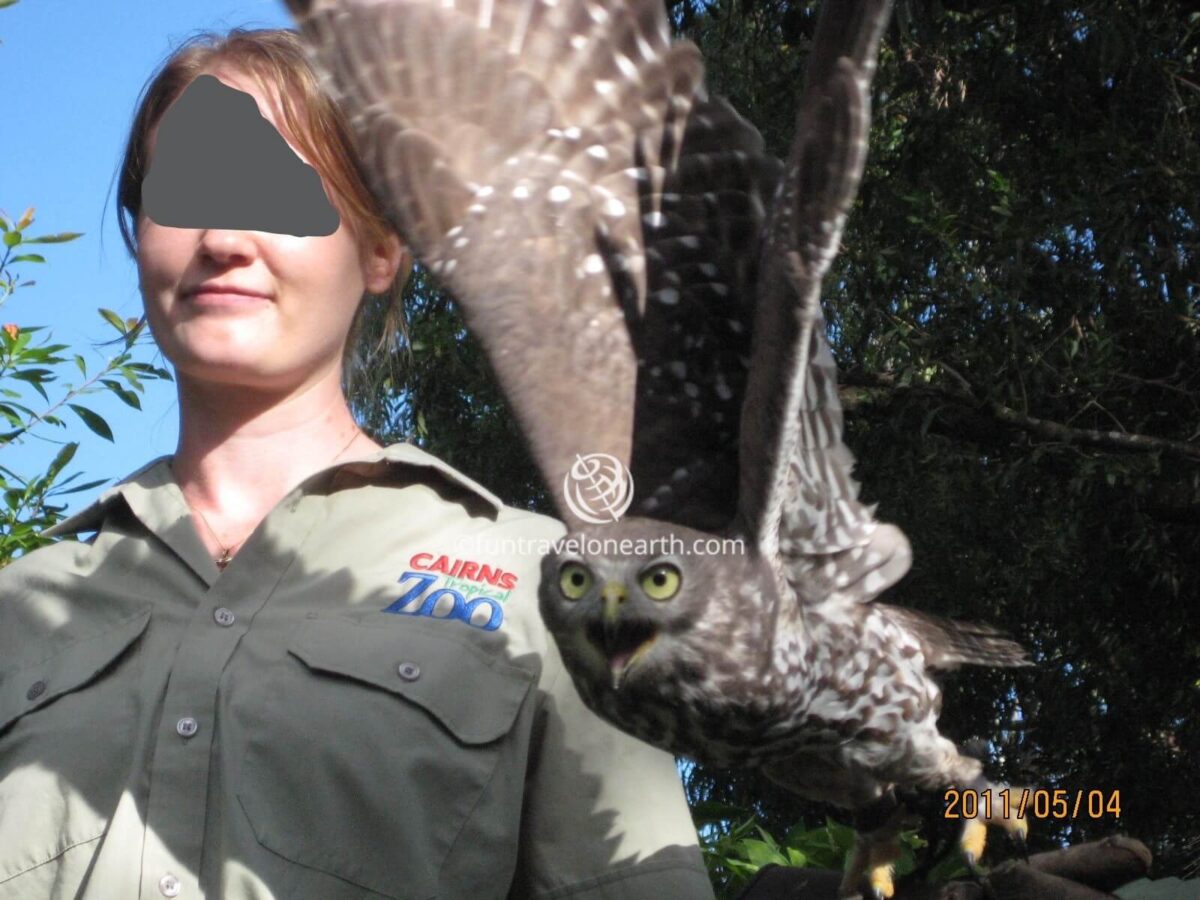 Cairns Tropical Zoo