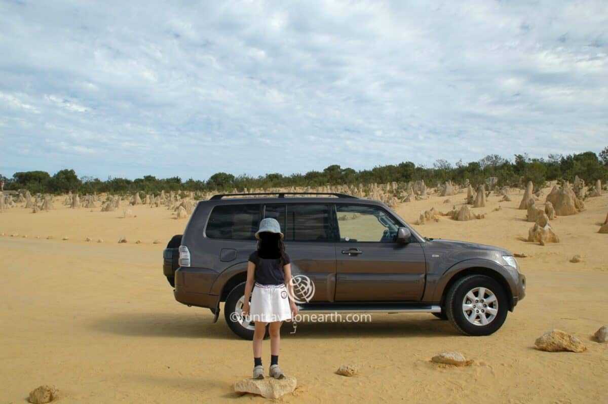 Australia,the pinnacles desert