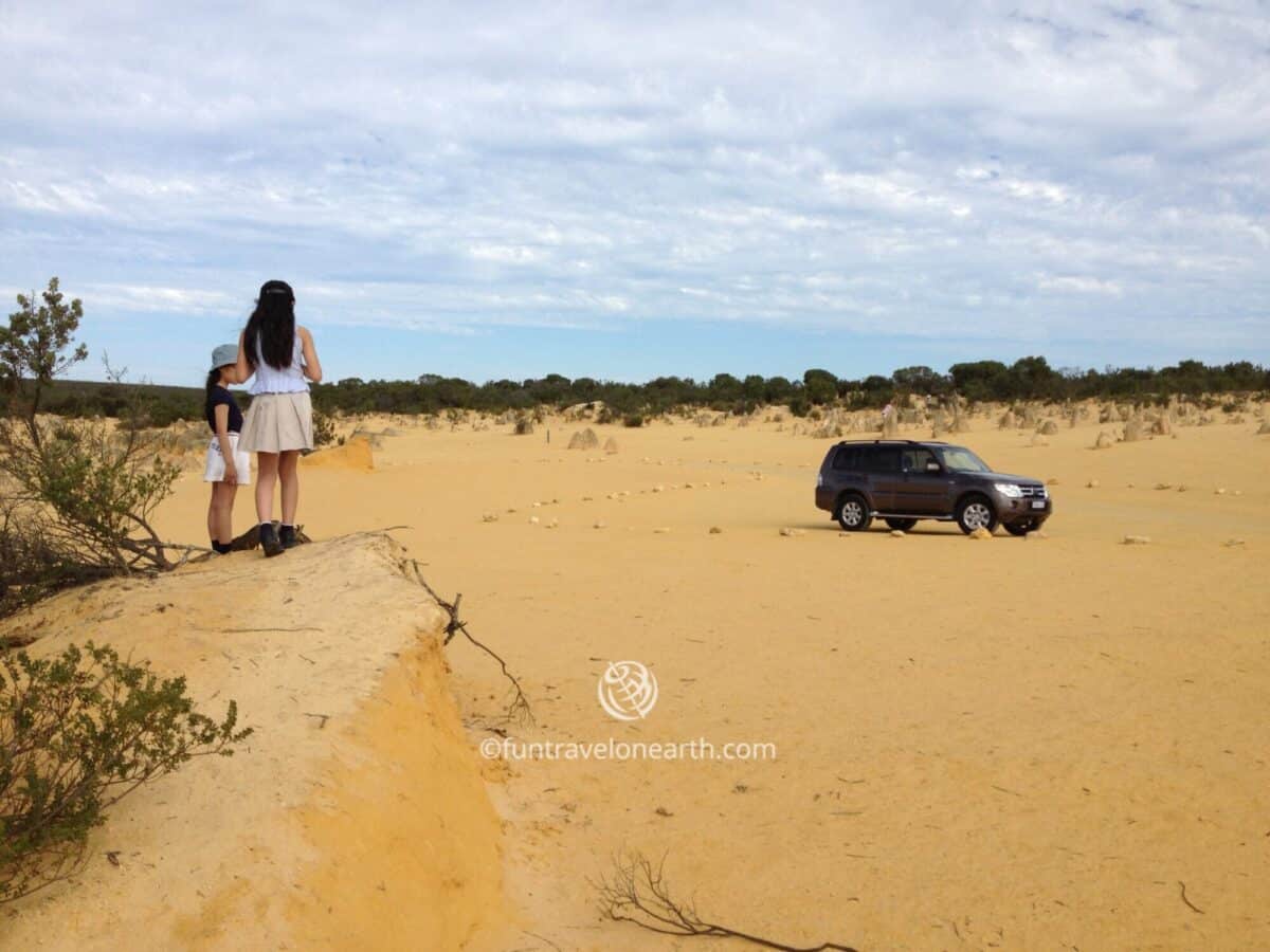 Australia,the pinnacles desert