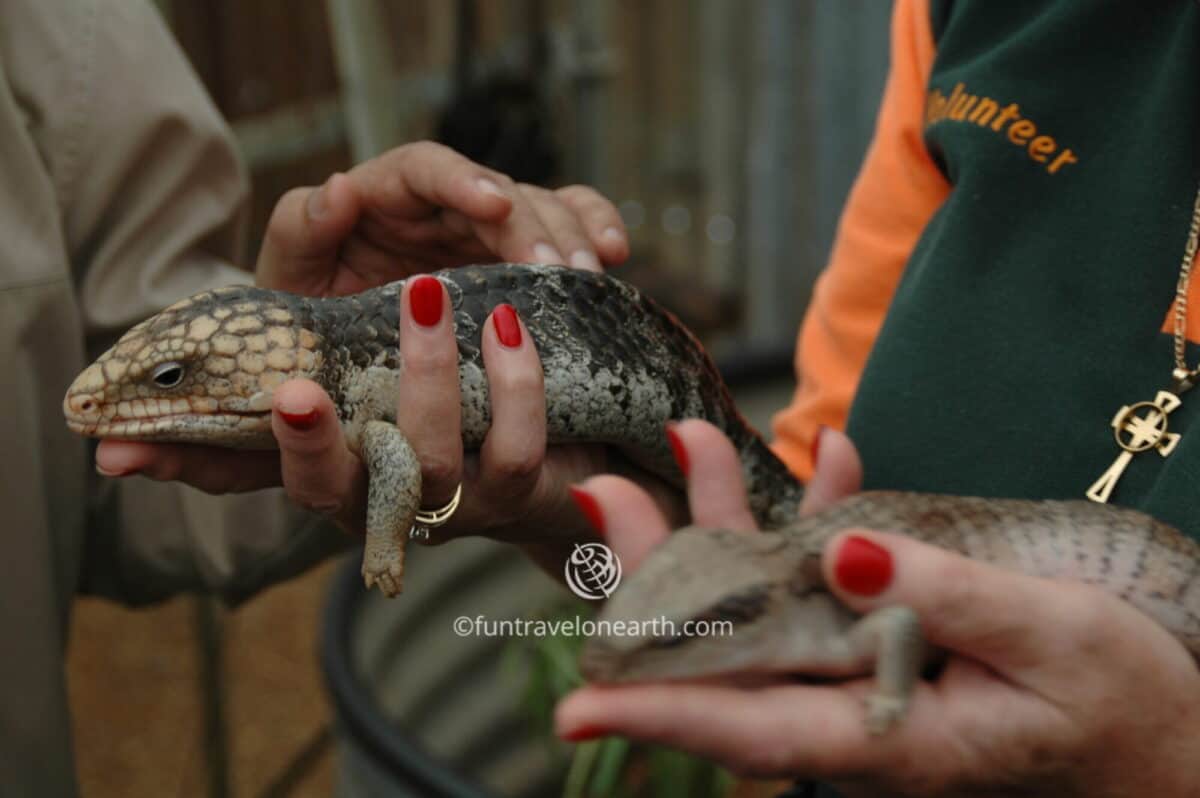 Caversham Wildlife Park