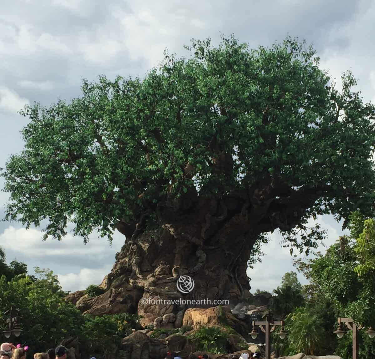 Disney's Animal Kingdom