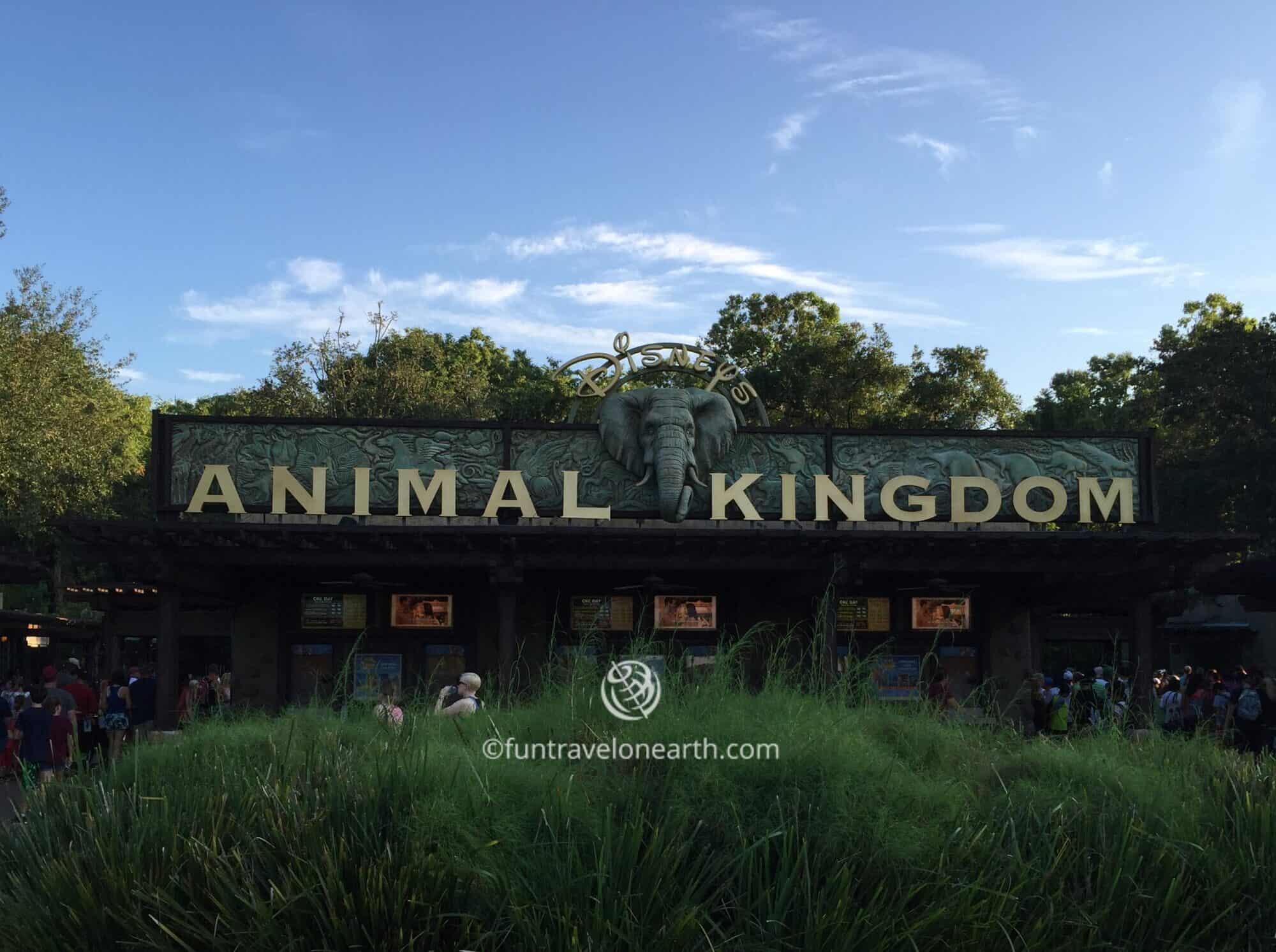 Disney's Animal Kingdom