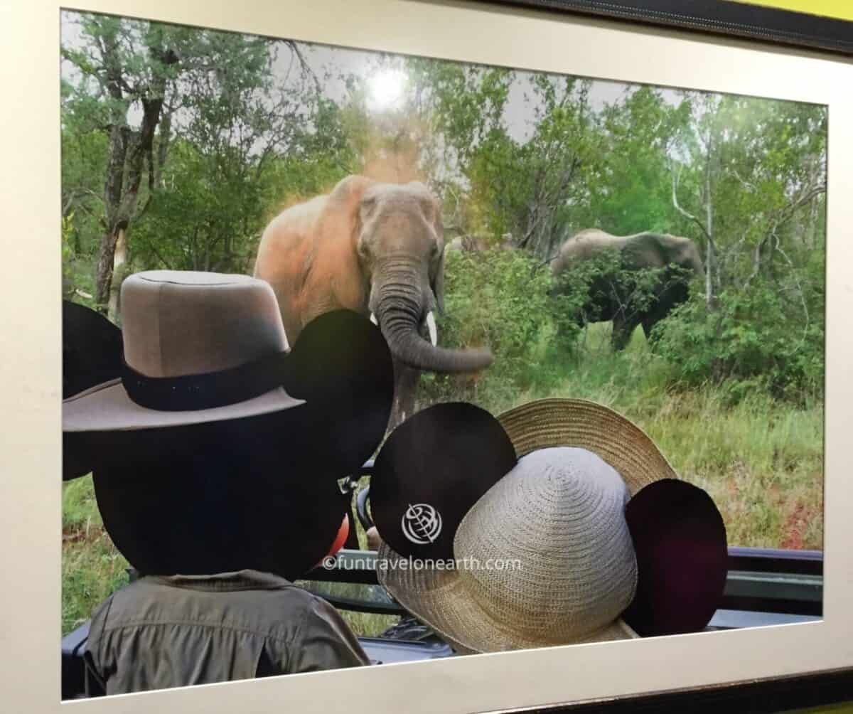 Disney's Animal Kingdom,Meet Favorite Disney Pals