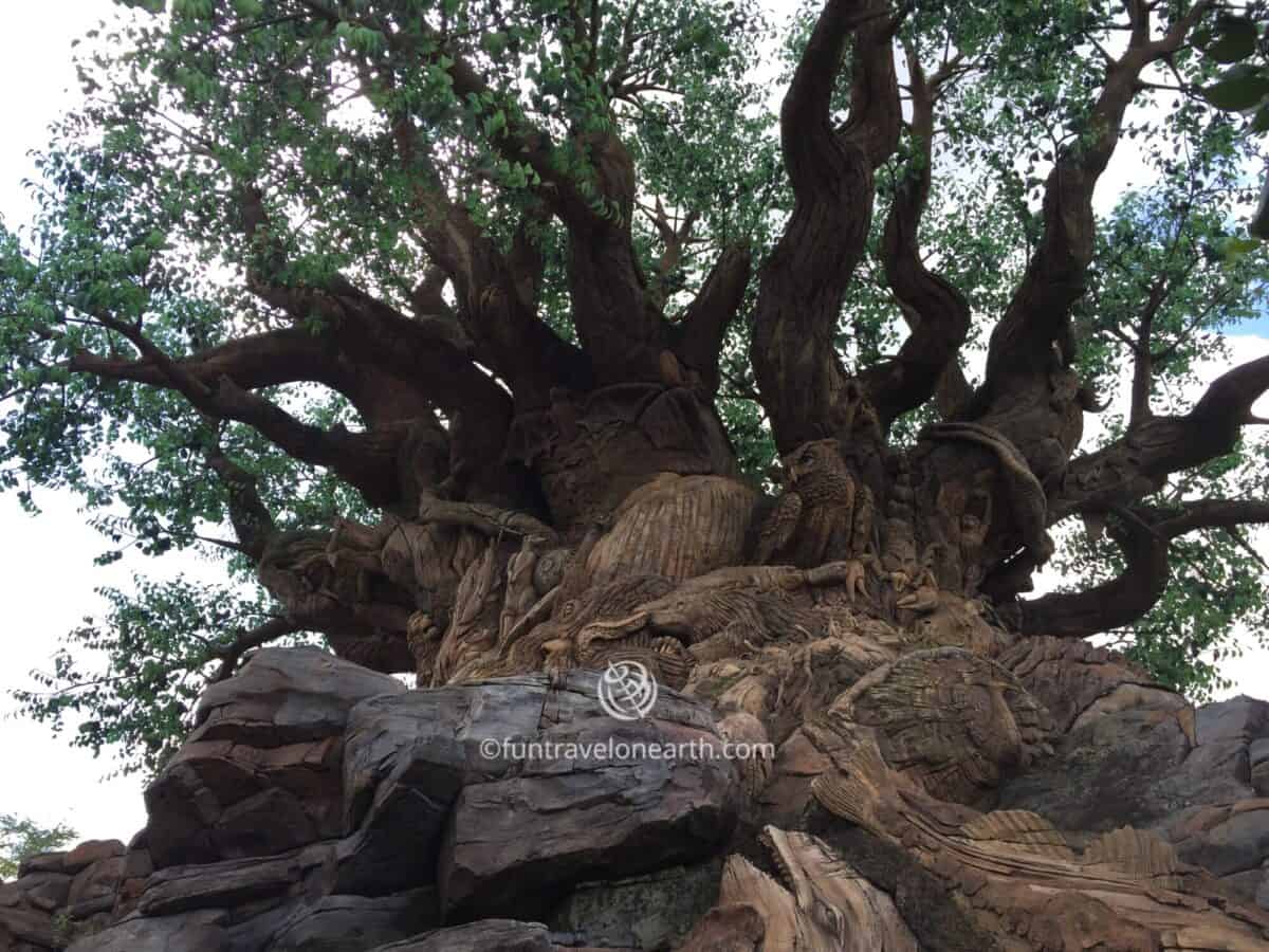 Disney's Animal Kingdom,Tree of Life