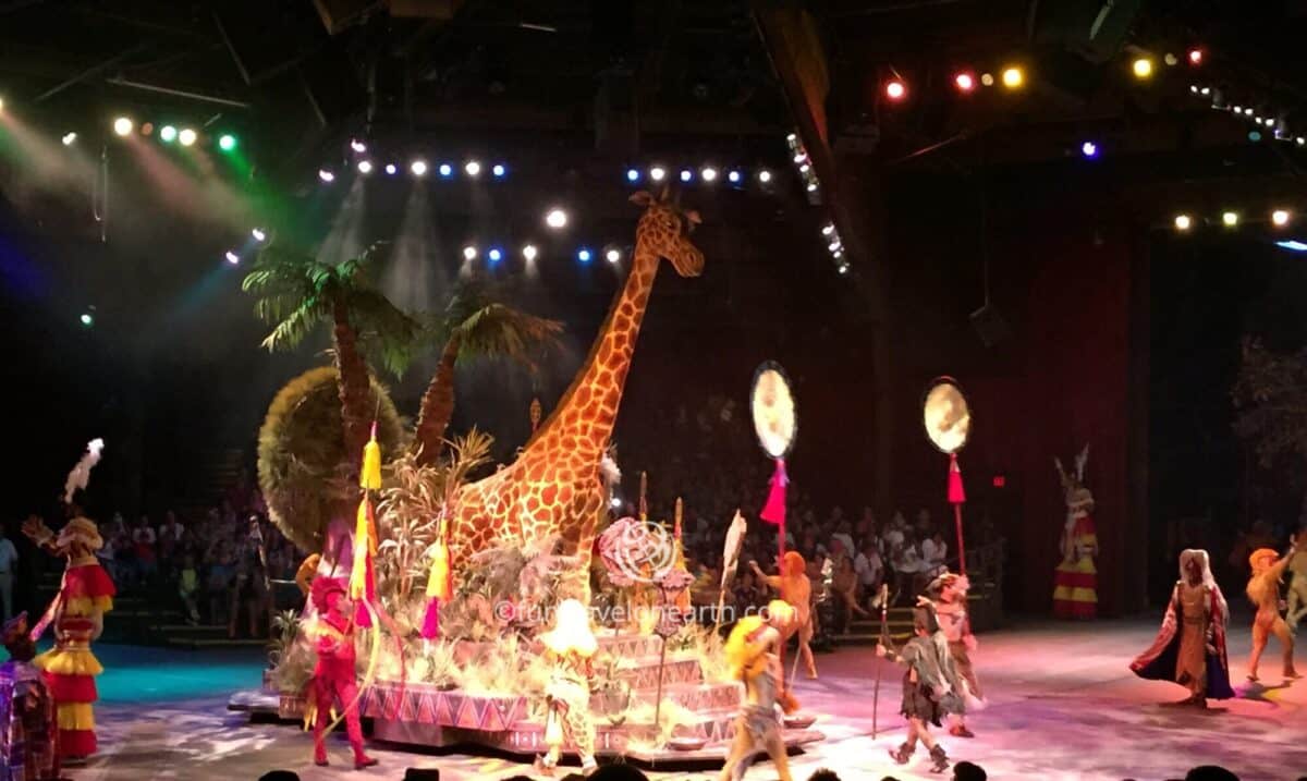 Disney's Animal Kingdom,Festival of the Lion King