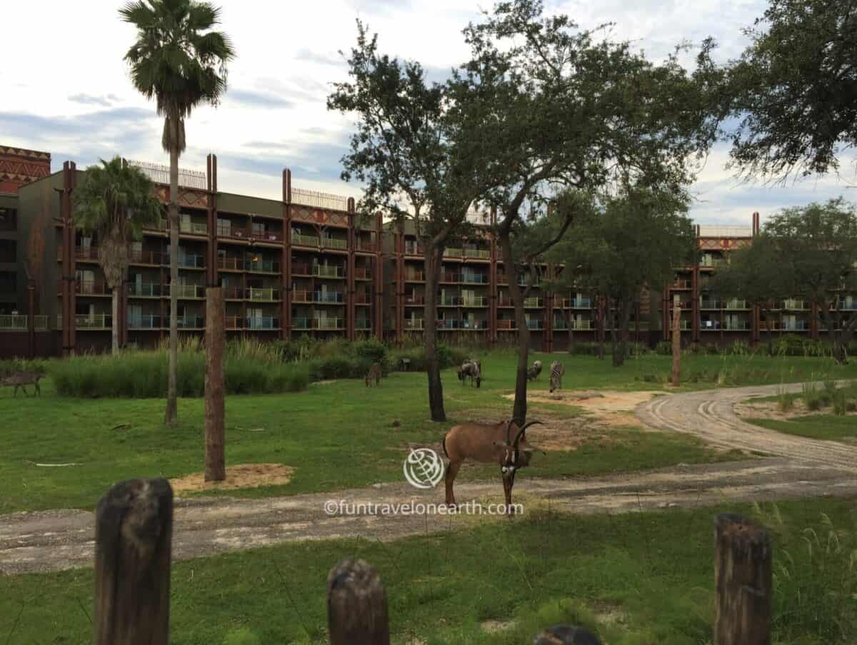 Disney's Animal Kingdom Lodge