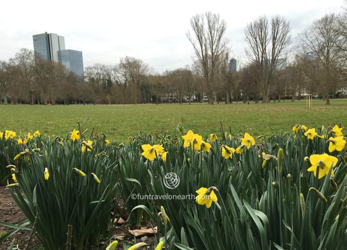 Grüneburgpark, Frankfurt am Main