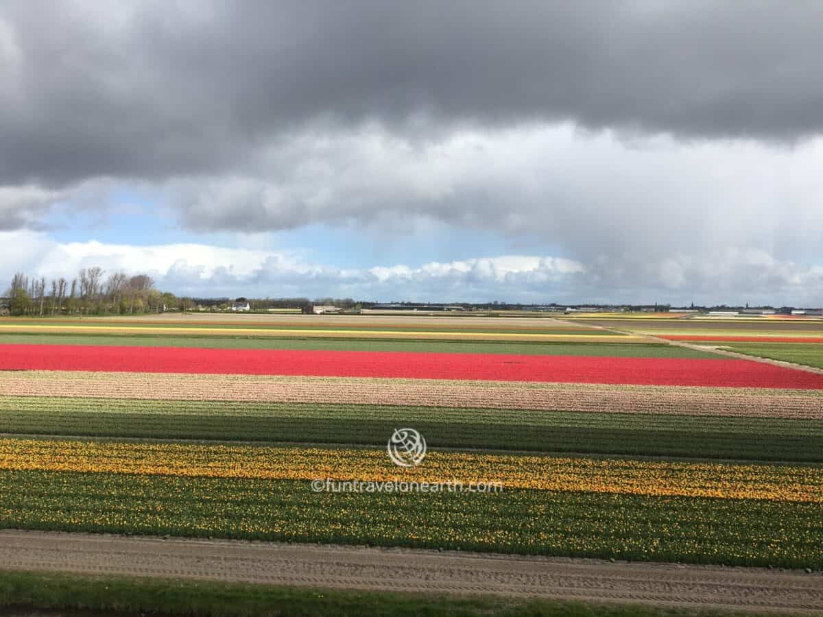 Keukenhof,Holland,the Netherlands