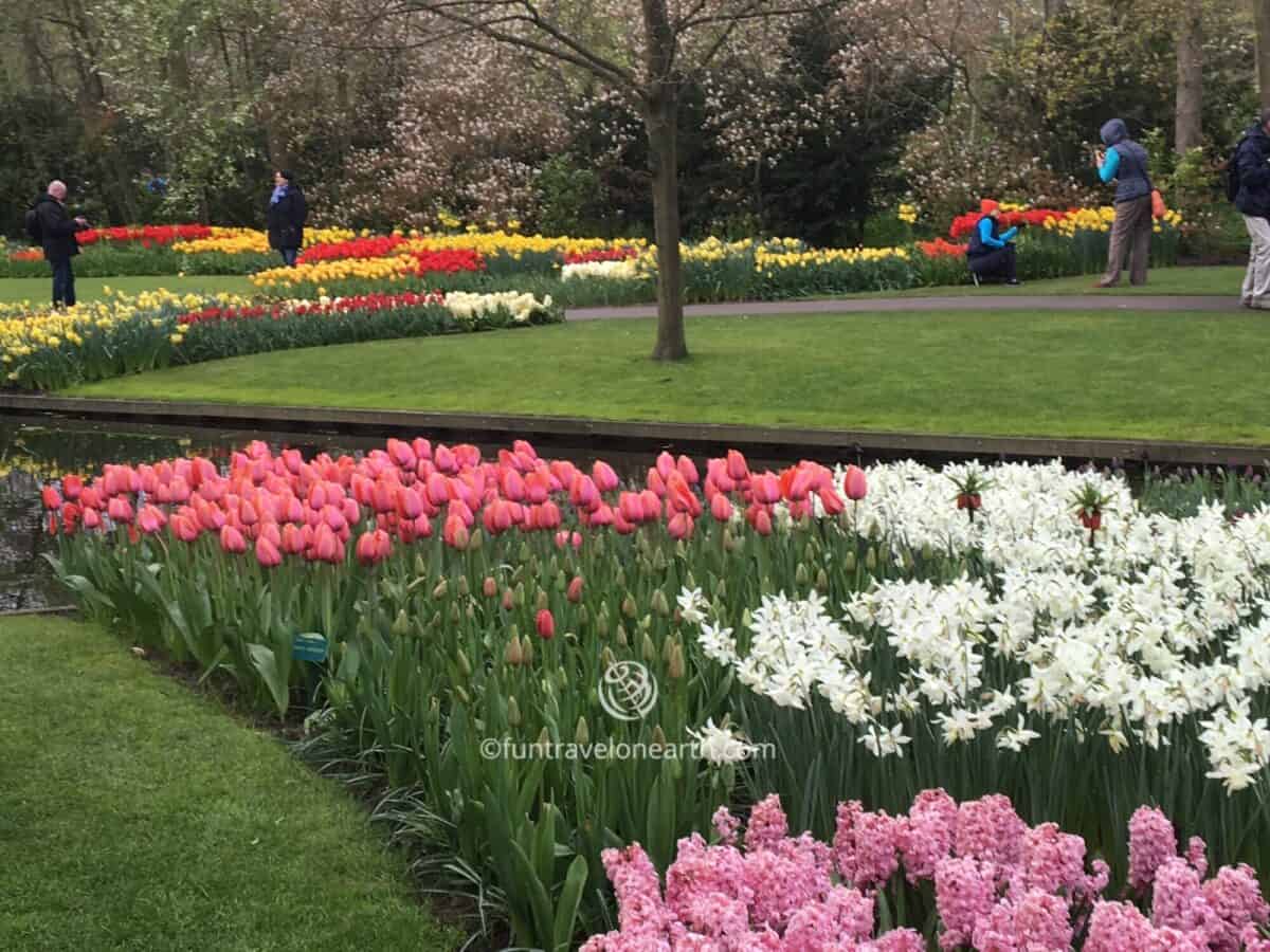 Keukenhof,Holland,The Netherlands