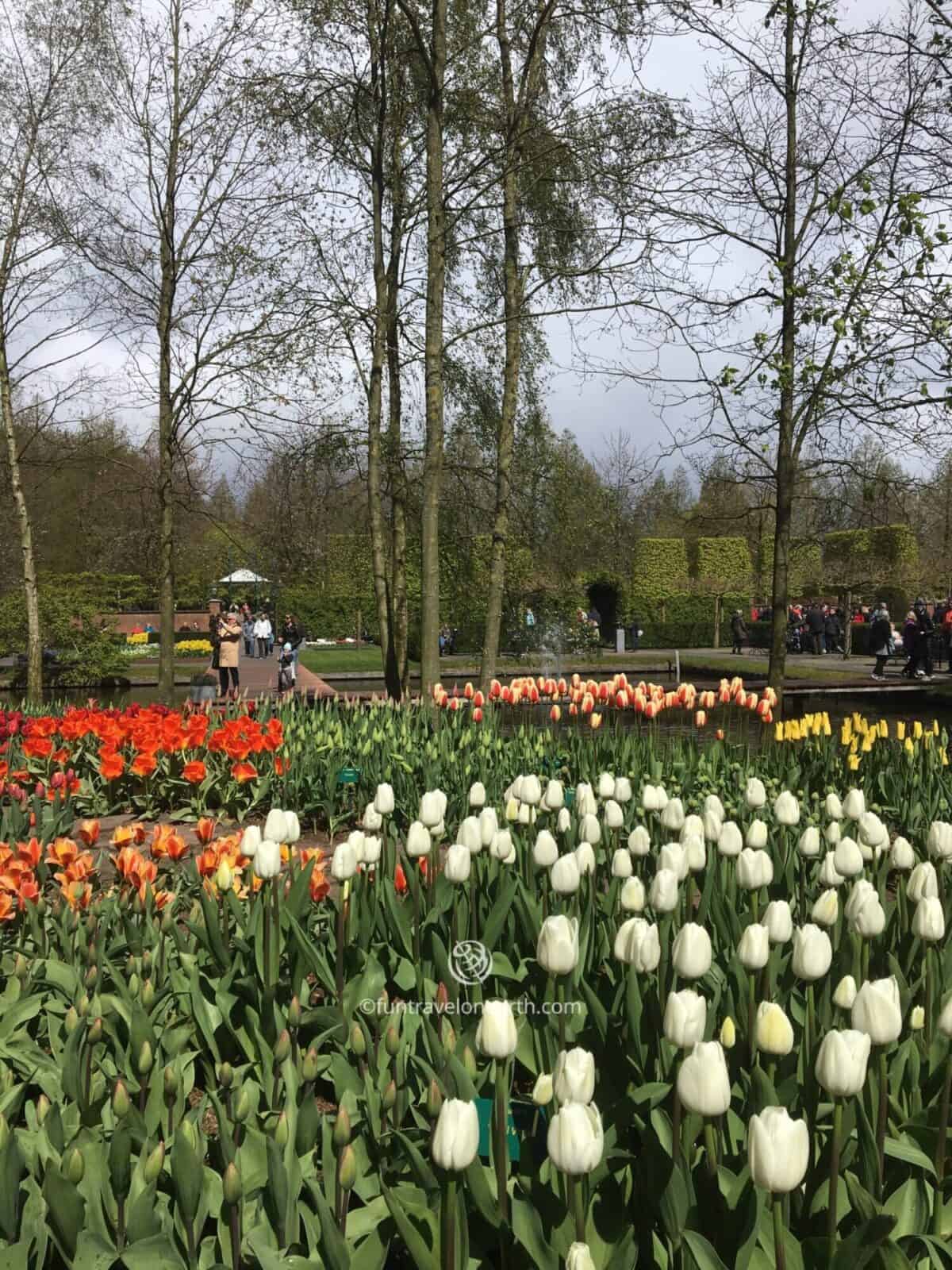 Keukenhof,Holland,The Netherlands