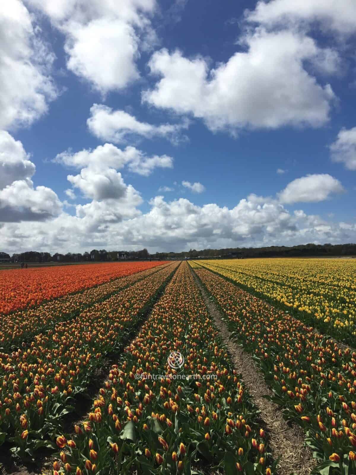 Holland,The Netherlands