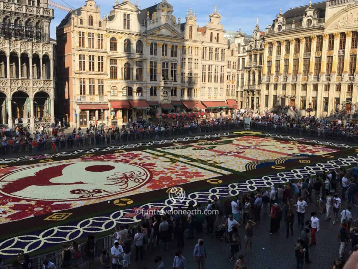 Flower Carpet 2016 Brussels