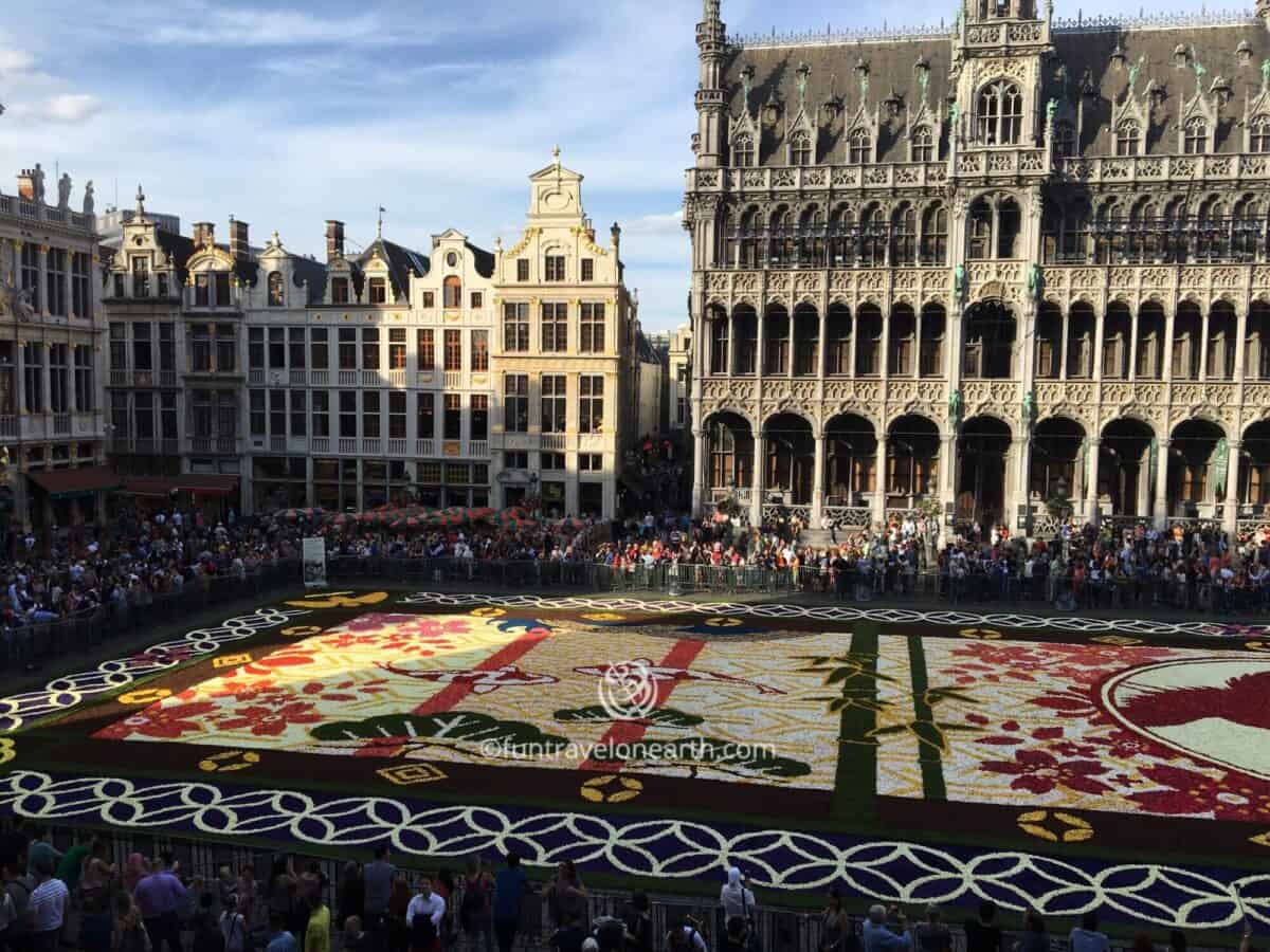 Flower Carpet 2016 Brussels