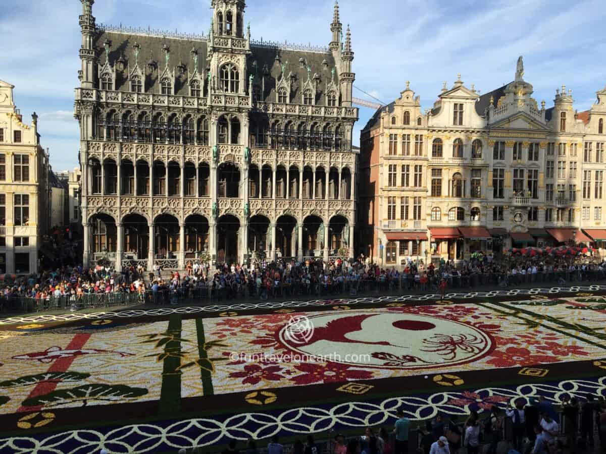 Flower Carpet 2016 Brussels