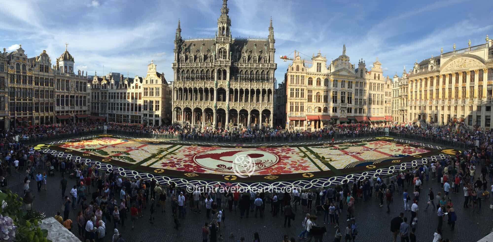 Flower Carpet 2016 Brussels