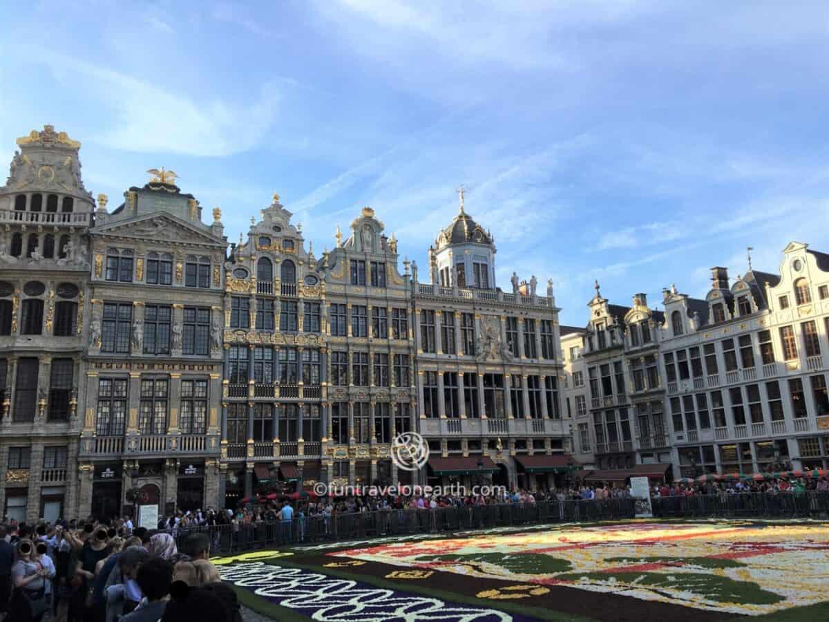 Flower Carpet 2016 Brussels