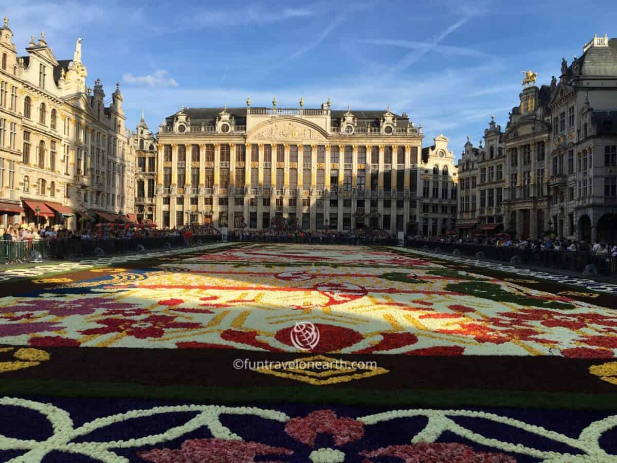 Flower Carpet 2016 Brussels