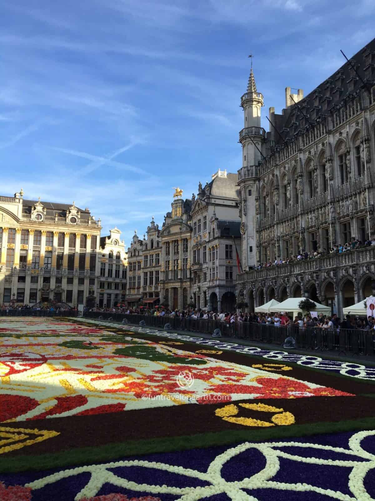 Flower Carpet 2016 Brussels