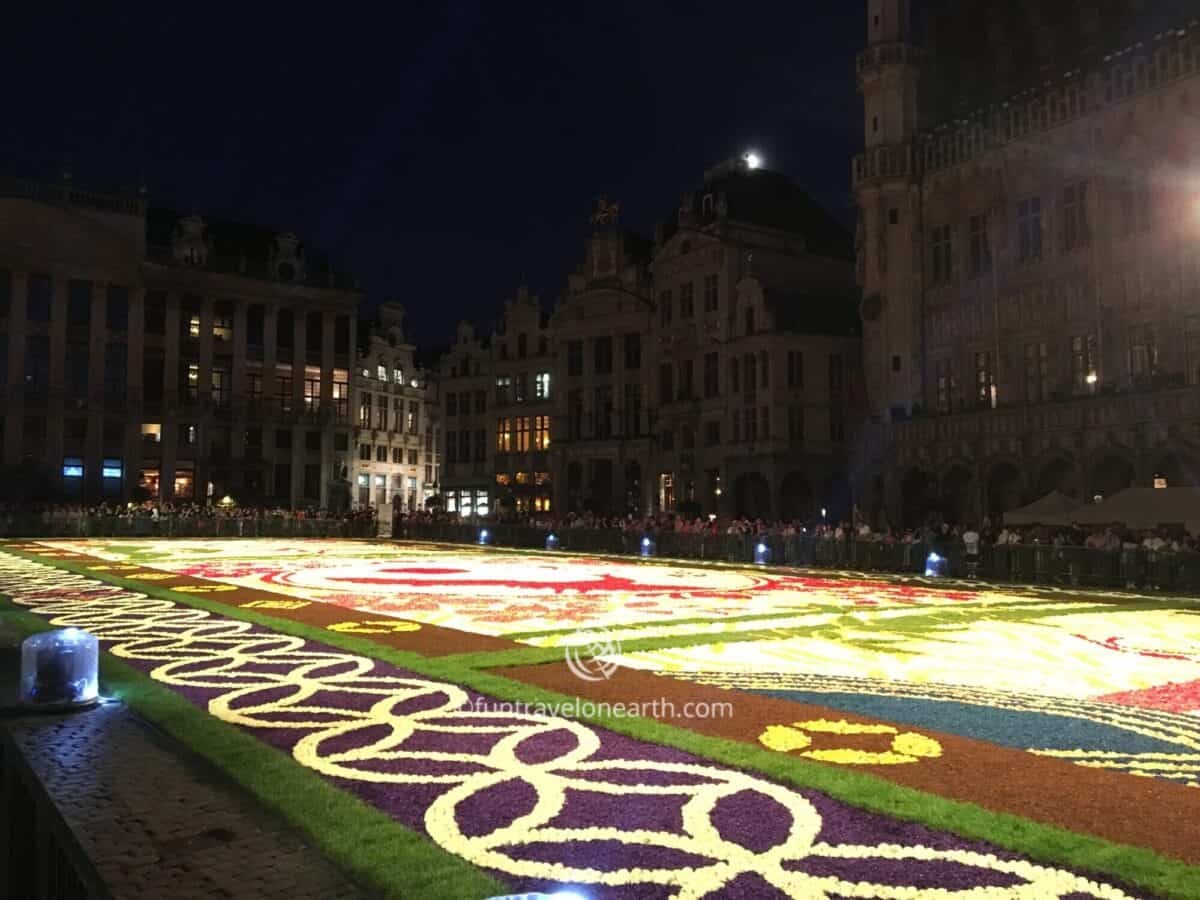 Flower Carpet 2016 Brussels