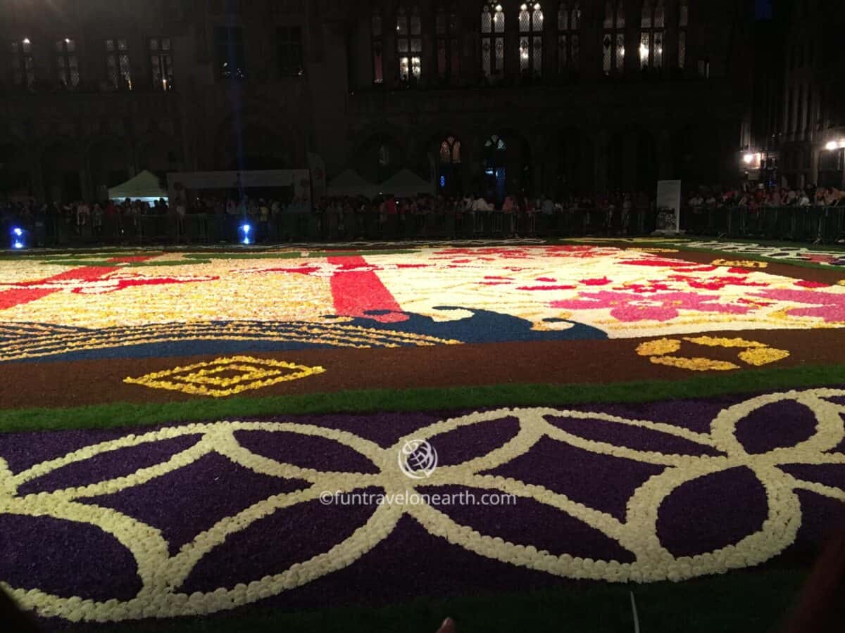 Flower Carpet 2016 Brussels