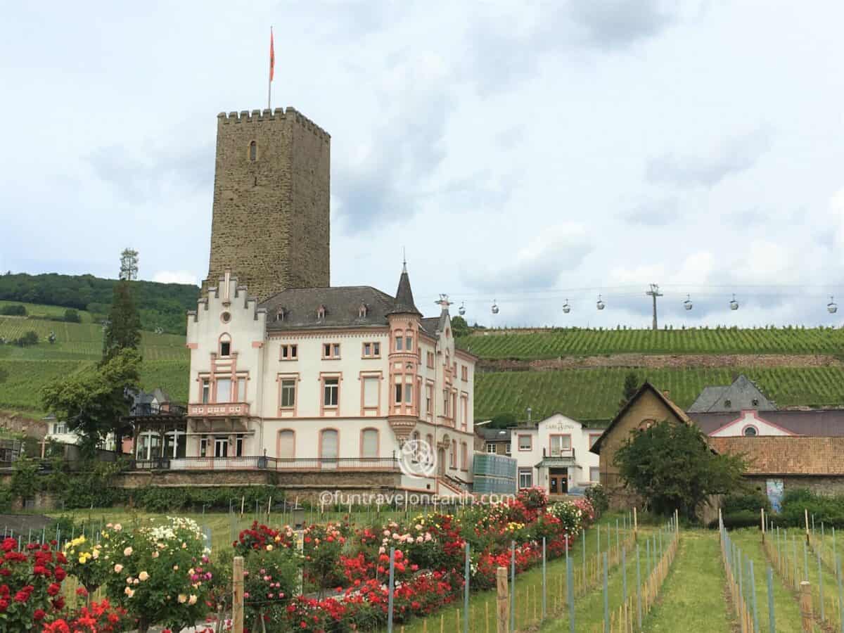 Rüdesheim,Germany