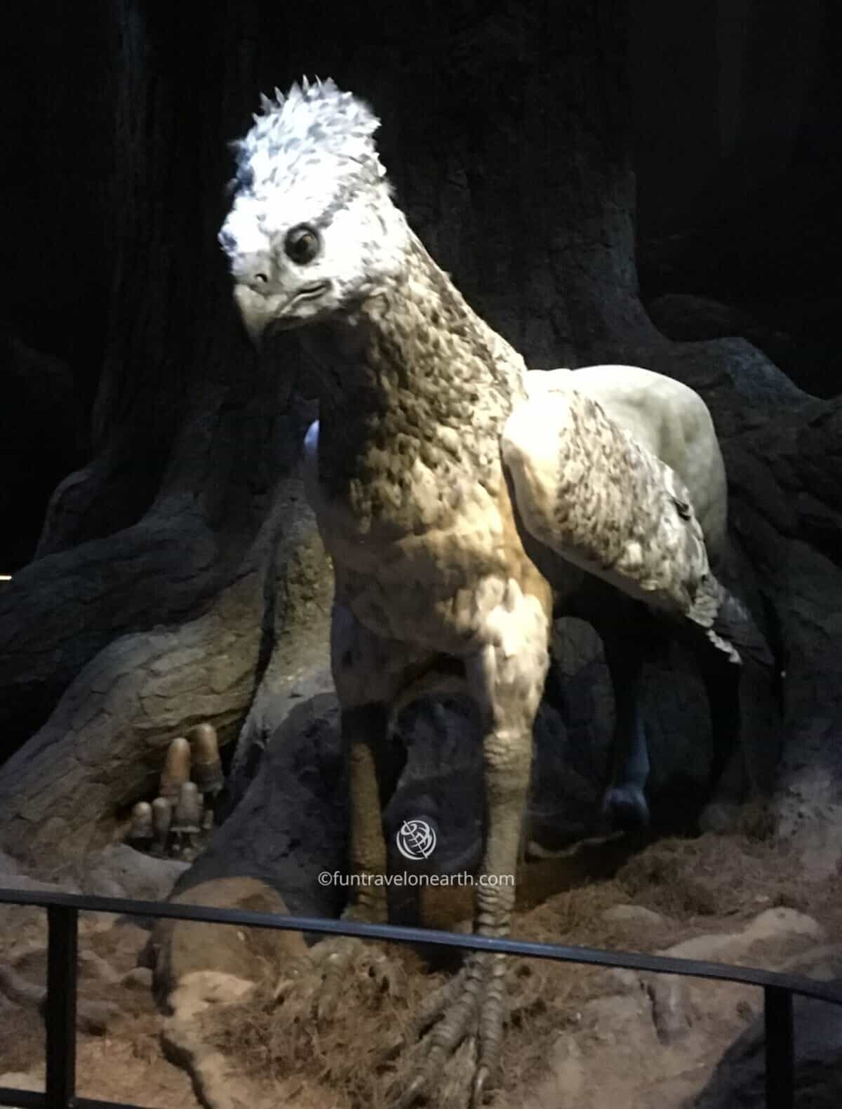 Hippogriff, Warner Bros. Studio Tour London - The Making of Harry Potter