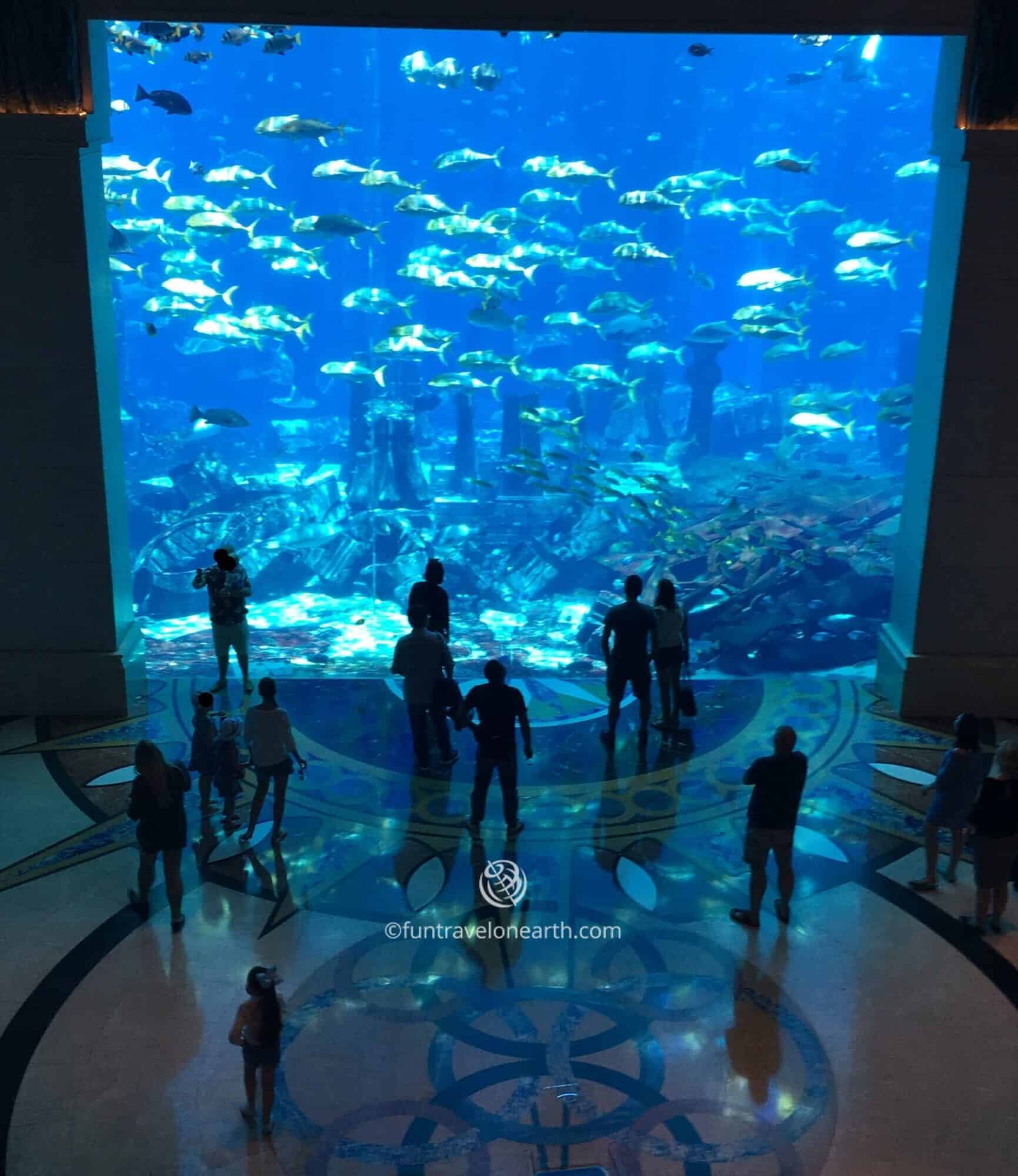 The Lost Chambers Aquarium, ATLANTIS THE PALM.DUBAI