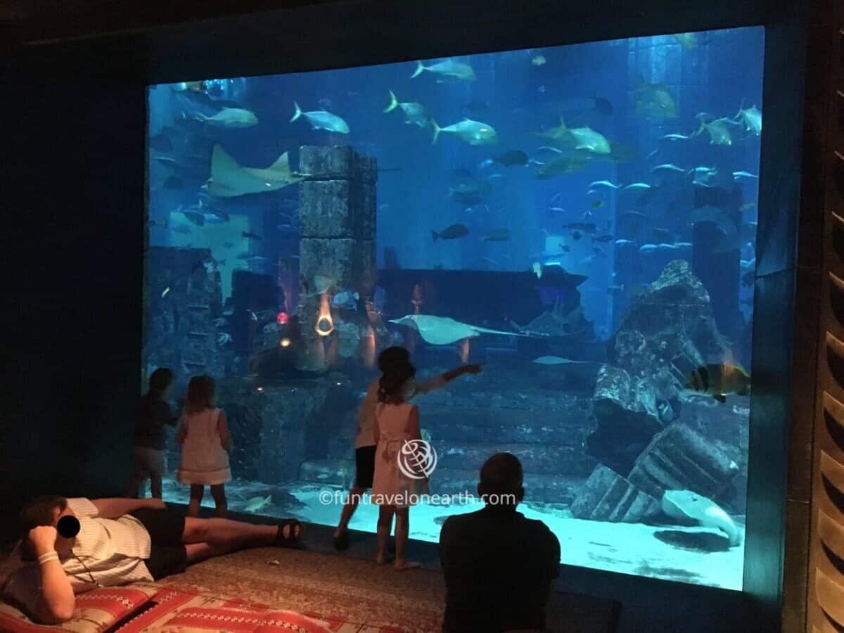 The Lost Chambers Aquarium, ATLANTIS THE PALM.DUBAI