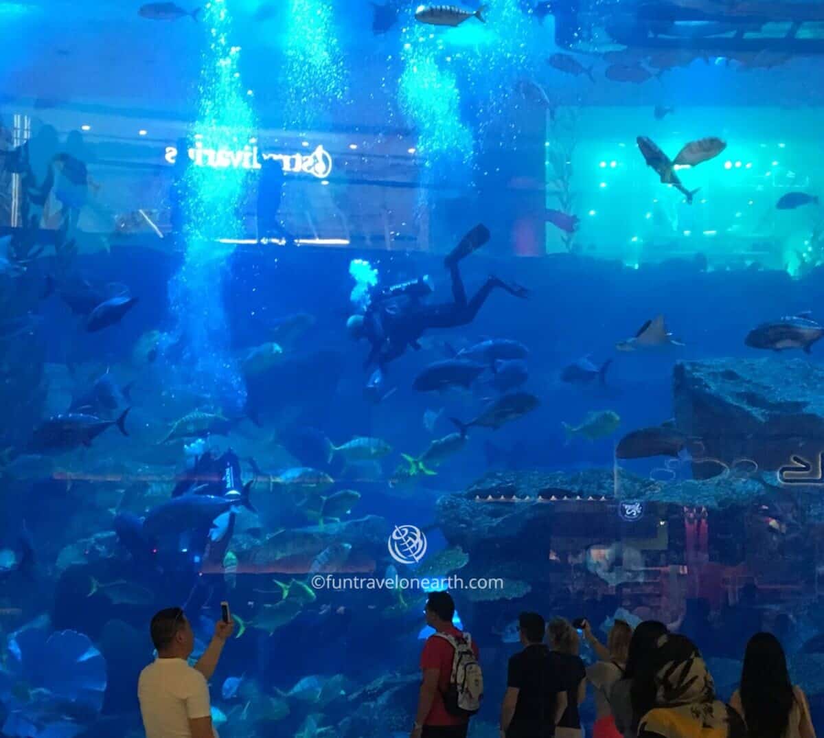 Dubai Aquarium & Underwater Zoo,THE DUBAI MALL