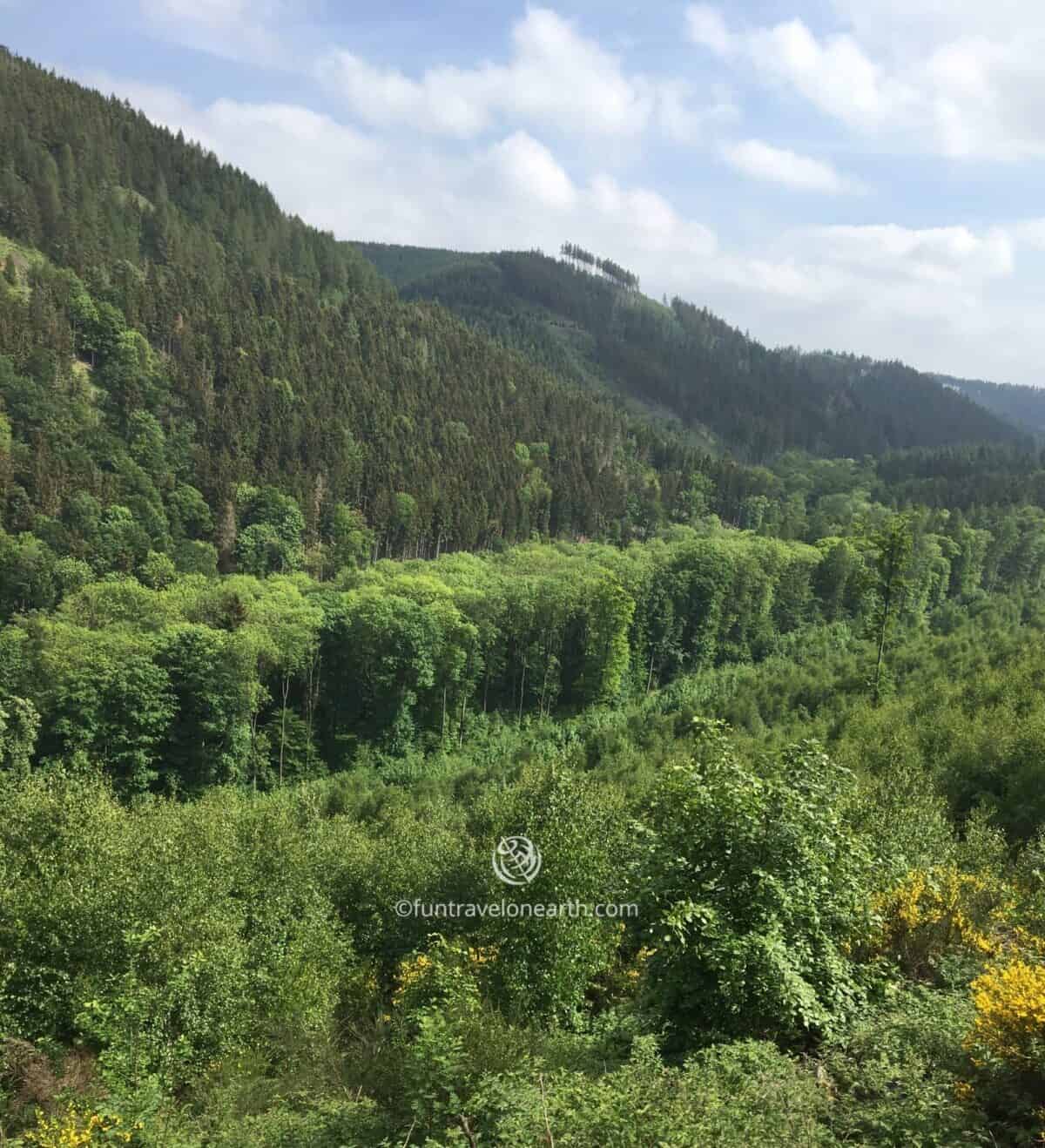 Harzer Schmalspurbahn Wernigerode , Germany
