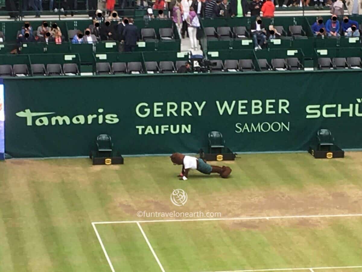 Halle Open（Gerry Weber Open）, Germany