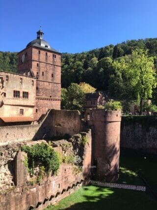 IMG_6358 Schloss Heidelberg