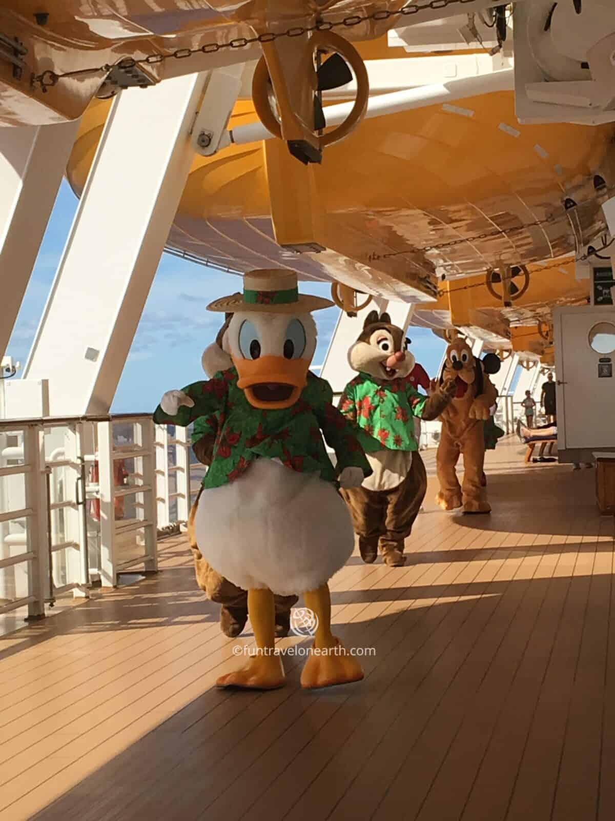 Disney Dream, Disney CRUISE LINE