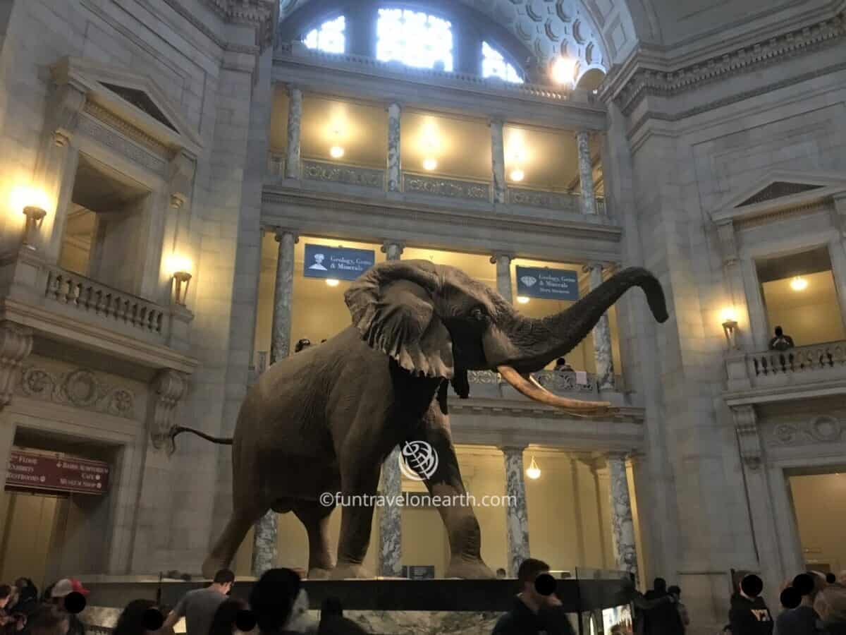 Smithsonian National Museum of Natural History