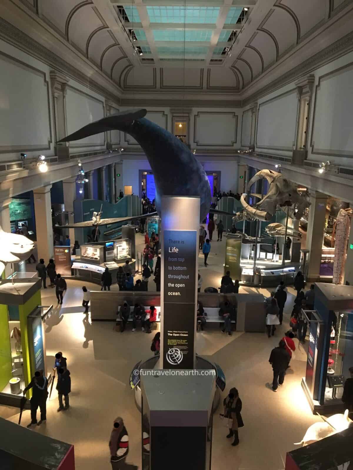 Smithsonian National Museum of Natural History